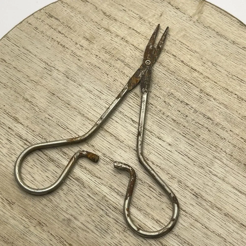 VTG Atq Hemostat Clipper 5” Rusted Tarnished Prop Display